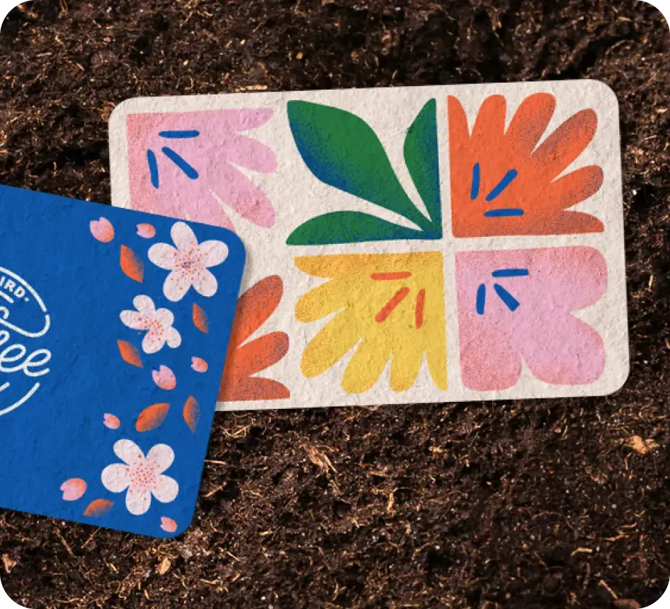 Andiata Paper Gift Card main image 1